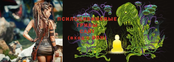 гашик Остров