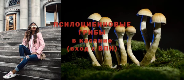 гашиш Осташков