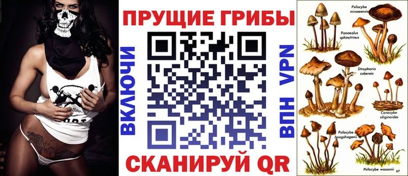 Псилоцибиновые грибы MAGIC MUSHROOMS как найти блэк спрут сайт Ладушкин